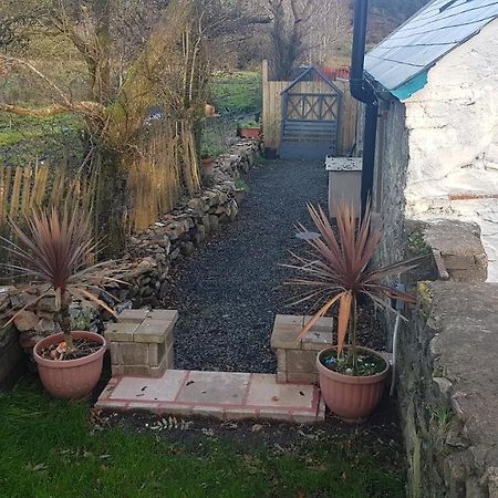 Cosy Cottage On The Causeway Coast And Glens Ballycastle Exteriér fotografie